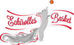Echirolles Basket