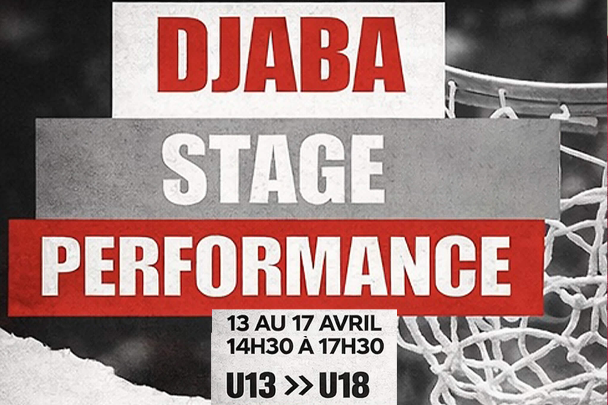 stage-djaba-h Accueil